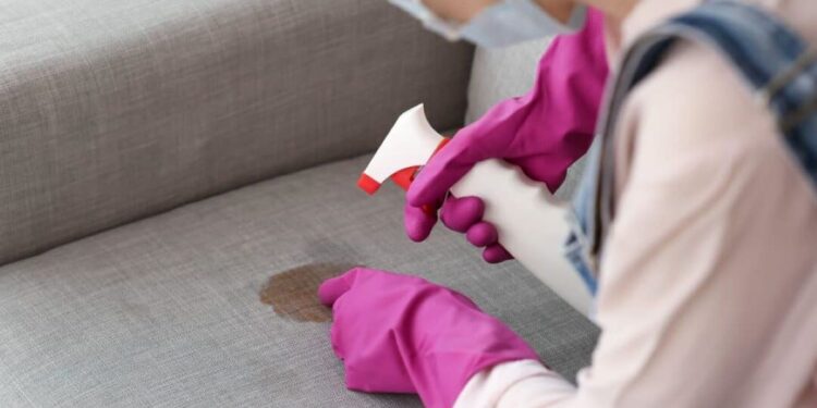 Aprenda a usar o vinagre para REMOVER MANCHAS de comida do sofá
