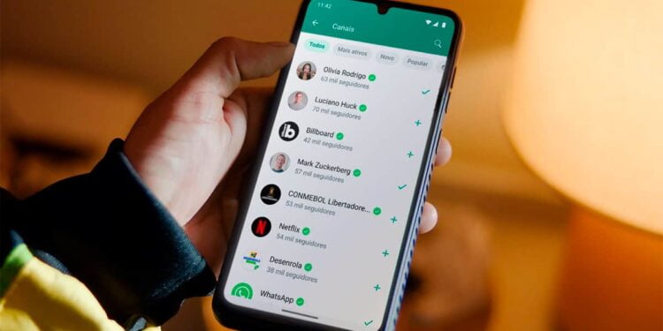 É POSSÍVEL! Envie Mensagem no WhatsApp sem Adicionar o Contato