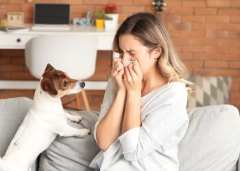 Limpeza para reduzir a alergia em casa: Veja como fazer