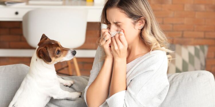 Limpeza para reduzir a alergia em casa: Veja como fazer