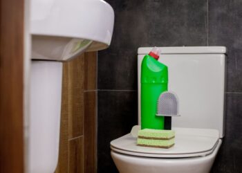 Método para desinfetar vaso sanitário: Conheça o melhor!