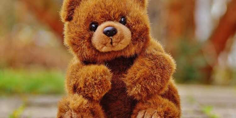 Passo a passo para limpar bichinho de pelúcia