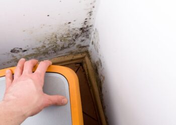 Receitinha de antimofo caseiro para o seu lar! Confira aqui