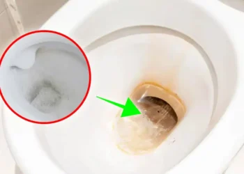 Saiba agora como deixar seu VASO SANITÁRIO novinho