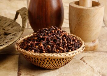 Tem formiga pequena na cozinha? Veja o que fazer!