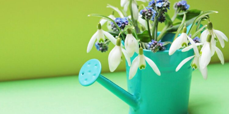 afastar naturalmente os insetos