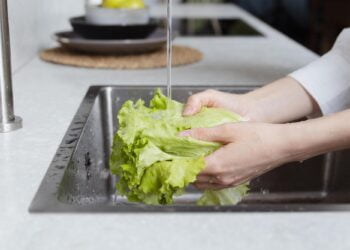 passo a passo de como higienizar verduras