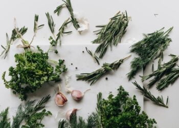 dicas sobre como secar ervas frescas