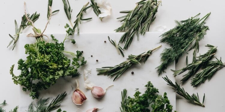 dicas sobre como secar ervas frescas