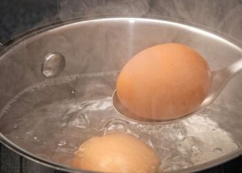 Jogar a água do ovo cozido na pia pode ter consequências surpreendentes e indesejadas