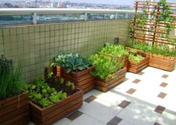 Como Montar uma Horta em Casa: 7 Dicas para Começar