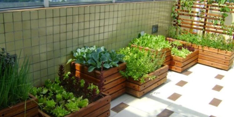 Como Montar uma Horta em Casa: 7 Dicas para Começar