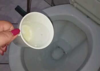 Como Eliminar o Cheiro de Urina do Banheiro com 3 Misturas Naturais Eficazes