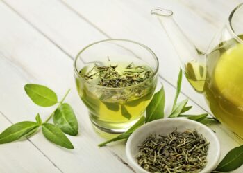 ora-pro-nóbis para emagrecer