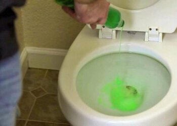 Como Utilizar Detergente Líquido para Desentupir o Vaso Sanitário de Forma Eficiente e Econômica