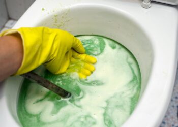 vaso sanitário entupido