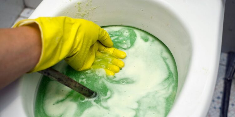 vaso sanitário entupido