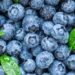 Mirtilo: Conheça esta fruta antioxidante que pode aumentar sua longevidade