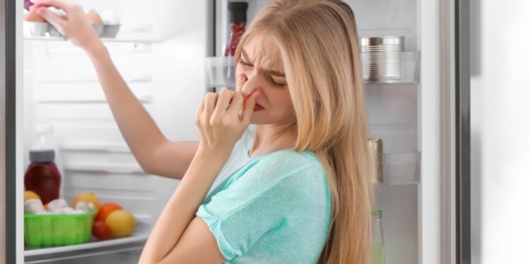 4 Truques Caseiros para Eliminar o Mau Cheiro na Geladeira