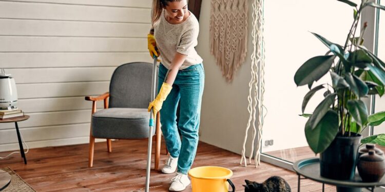 Dicas de limpeza que você precisa conhecer!