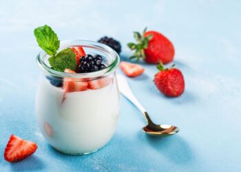 Iogurte grego caseiro