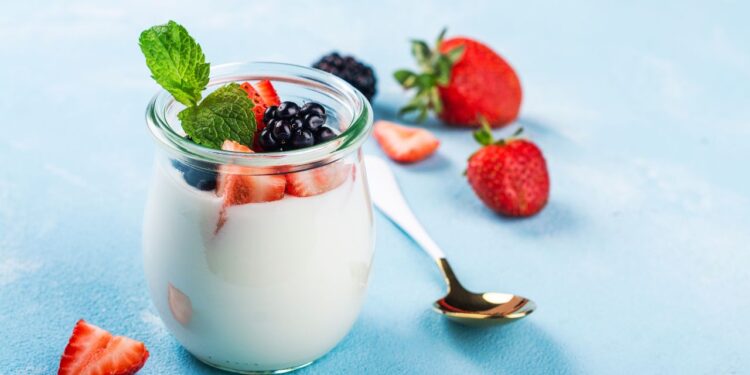 Iogurte grego caseiro