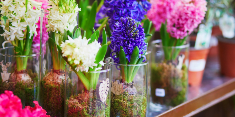 Não jogue copo trincado fora! Veja como reaproveitar copos