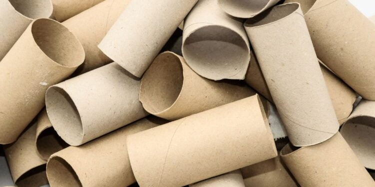 Organizadores caseiros: Confira opções de materiais