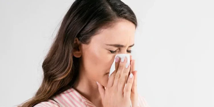 Receitas Caseiras para Combater a Rinite Alérgica
