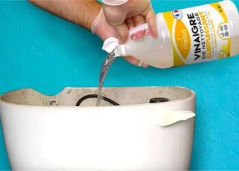 Veja o que acontece se você colocar vinagre no tanque do vaso sanitário