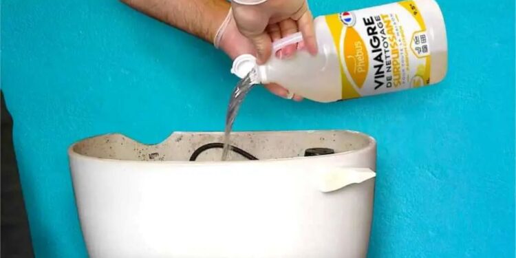 Veja o que acontece se você colocar vinagre no tanque do vaso sanitário