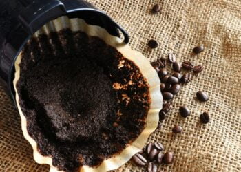 Você joga o filtro de café usado no lixo? Veja o que fazer com ele!