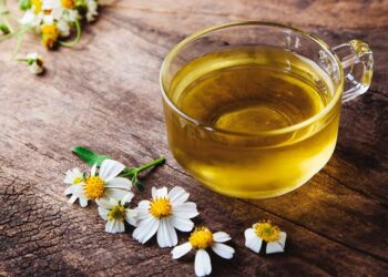 chás para dormir melhor