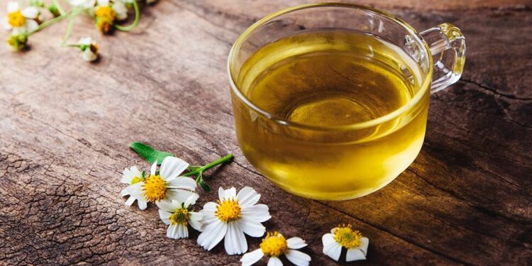 chás para dormir melhor