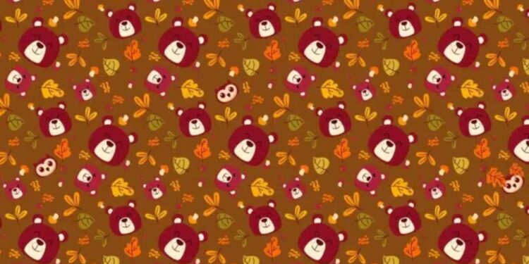 TESTE: Você consegue ver 3 corujas nesta imagem? Encontre em menos de 20 segundos!