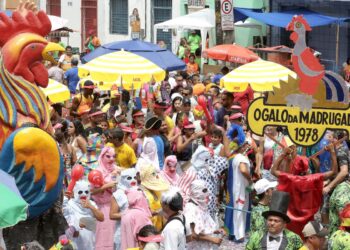 curtir o carnaval - galo da madrugada