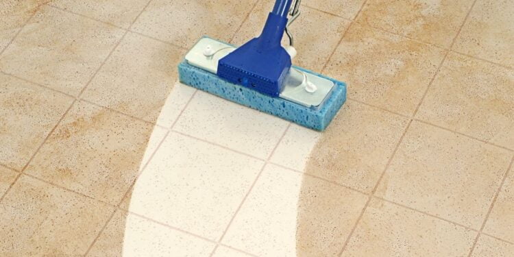 Remova IMEDIATAMENTE a sujeira do chão com esta mistura poderosa