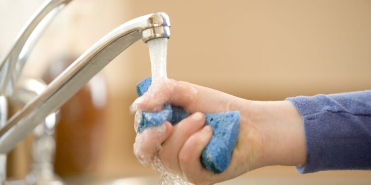 esponja da pia da cozinha