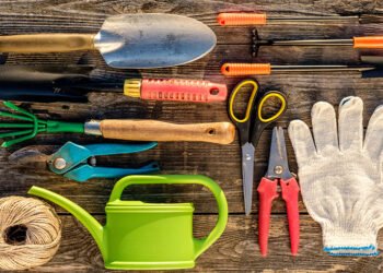 descubra as principais ferramentas de jardinagem