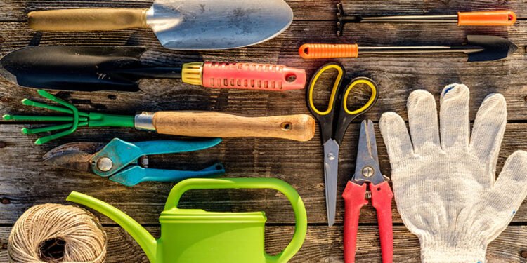 descubra as principais ferramentas de jardinagem