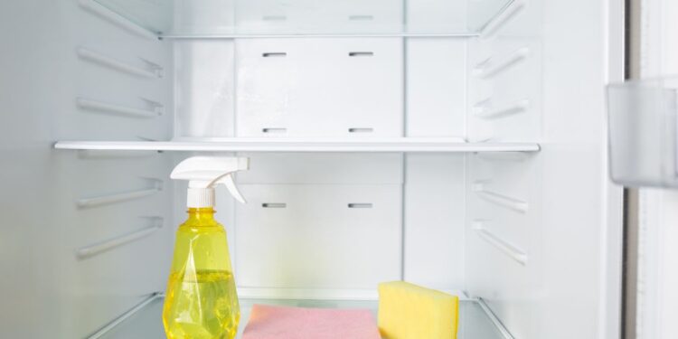 mau odor da geladeira