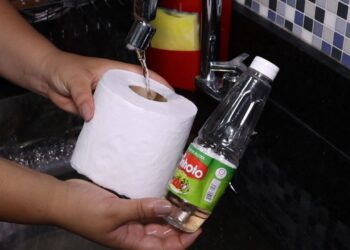 Método caseiro com vinagre e papel higiênico para você experimentar AGORA!