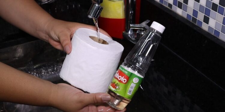 Método caseiro com vinagre e papel higiênico para você experimentar AGORA!
