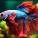 peixe Betta