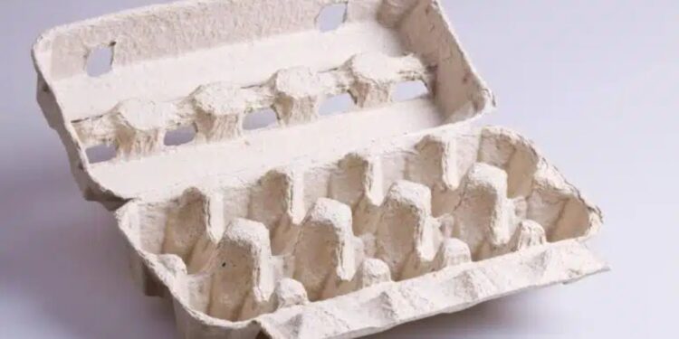 Não jogue fora as Placas para ovos! Veja a utilidade em casa e no jardim!