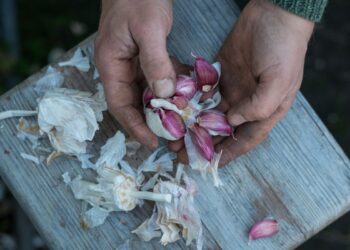 tirar cheiro de alho das mãos