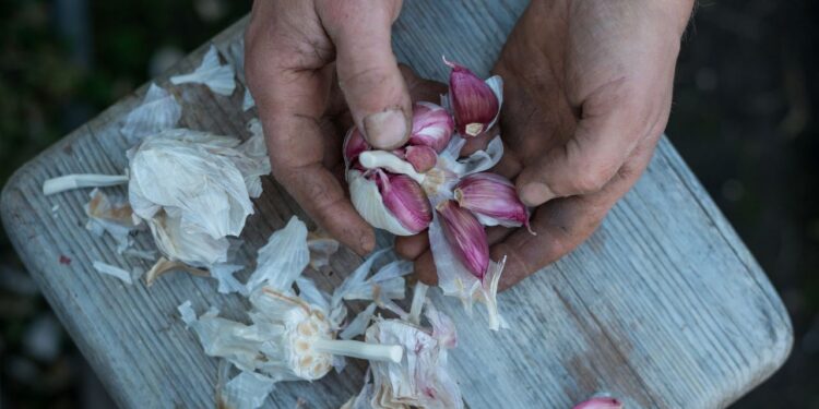 tirar cheiro de alho das mãos