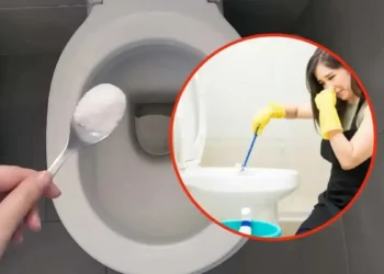 Misturinha natural para tirar o cheiro de xixi no seu Banheiro