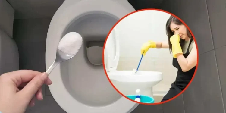 Misturinha natural para tirar o cheiro de xixi no seu Banheiro