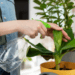 5 maneiras de usar o Vinagre para beneficiar suas Plantas